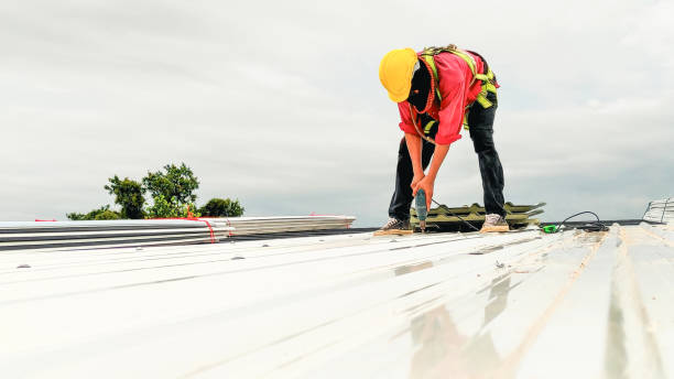 Best Roof Maintenance and Cleaning  in Lee Acres, NM