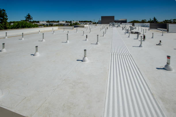 Best Commercial Roofing Services  in Lee Acres, NM